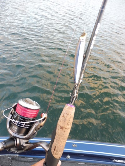 truth truth_news ブログ写真 2015/10/22