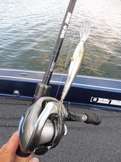 truth truth_news ブログ写真 2015/10/22