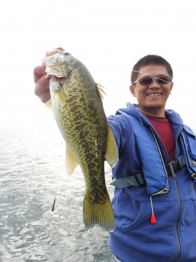 truth truth_news ブログ写真 2015/10/22