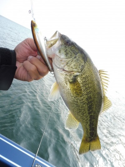 truth truth_news ブログ写真 2015/10/22