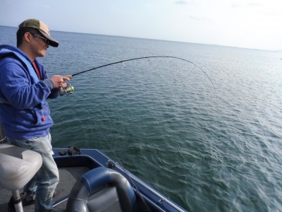 truth truth_news ブログ写真 2015/10/22