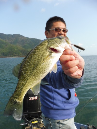 truth truth_news ブログ写真 2015/10/22