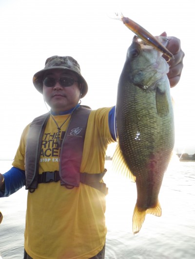 truth truth_news ブログ写真 2015/10/23