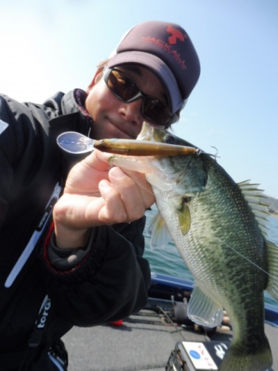 truth truth_news ブログ写真 2015/10/23