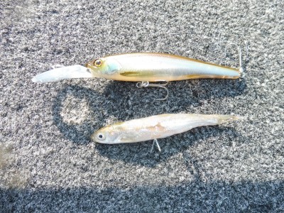 truth truth_news ブログ写真 2015/10/23