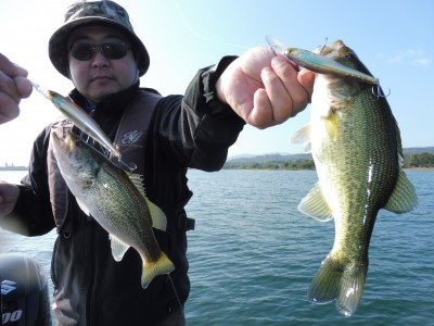 truth truth_news ブログ写真 2015/10/23