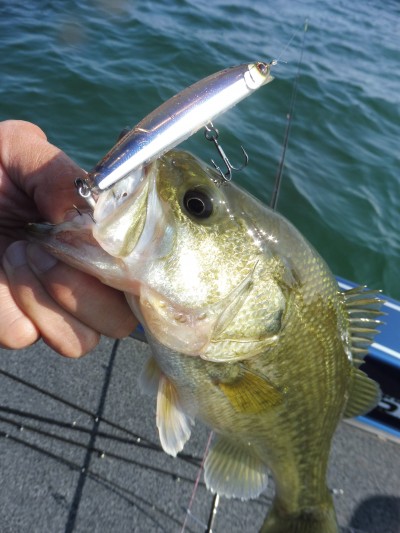 truth truth_news ブログ写真 2015/10/23