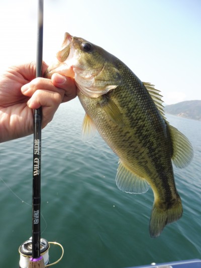 truth truth_news ブログ写真 2015/10/23