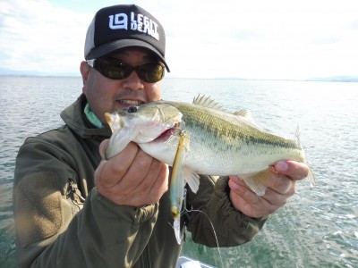 truth truth_news ブログ写真 2015/11/01