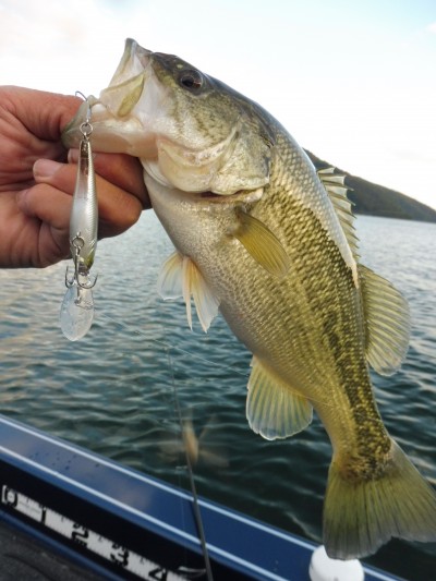 truth truth_news ブログ写真 2015/11/01