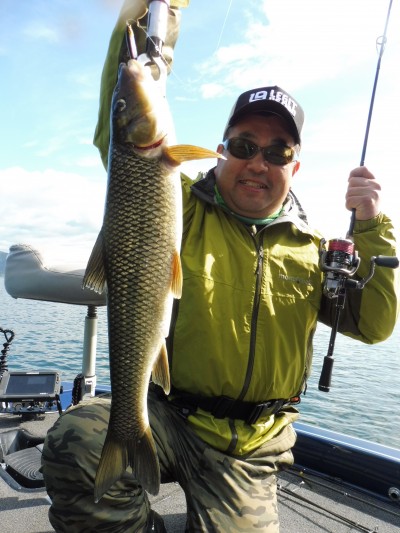 truth truth_news ブログ写真 2015/11/01