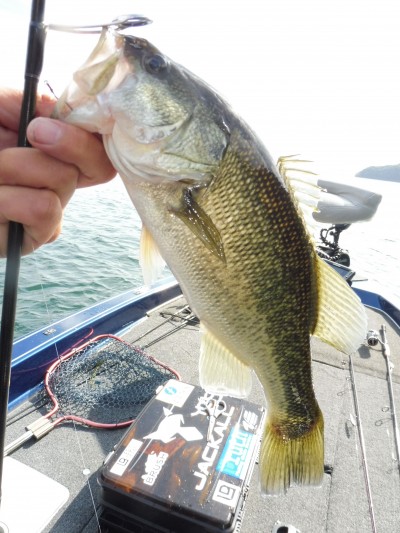 truth truth_news ブログ写真 2015/11/01