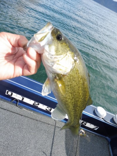 truth truth_news ブログ写真 2015/11/01