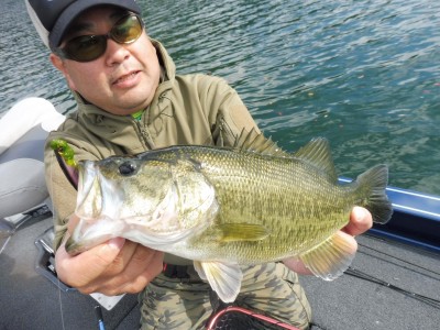 truth truth_news ブログ写真 2015/11/01