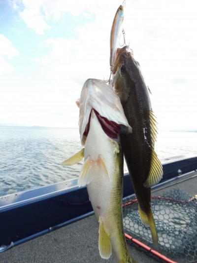 truth truth_news ブログ写真 2015/11/01