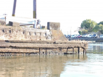 truth truth_news ブログ写真 2015/11/03