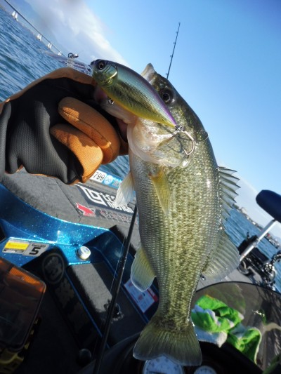 truth truth_news ブログ写真 2015/11/03