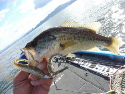 truth truth_news ブログ写真 2015/11/03