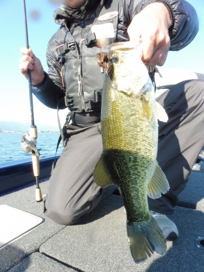 truth truth_news ブログ写真 2015/11/04