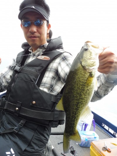 truth truth_news ブログ写真 2015/11/07