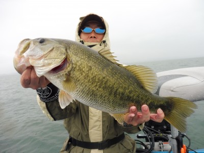 truth truth_news ブログ写真 2015/11/08