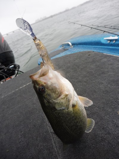 truth truth_news ブログ写真 2015/11/08