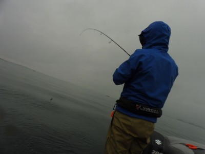 truth truth_news ブログ写真 2015/11/08