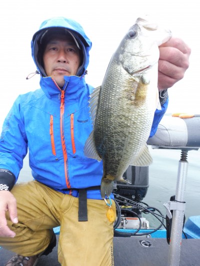 truth truth_news ブログ写真 2015/11/08