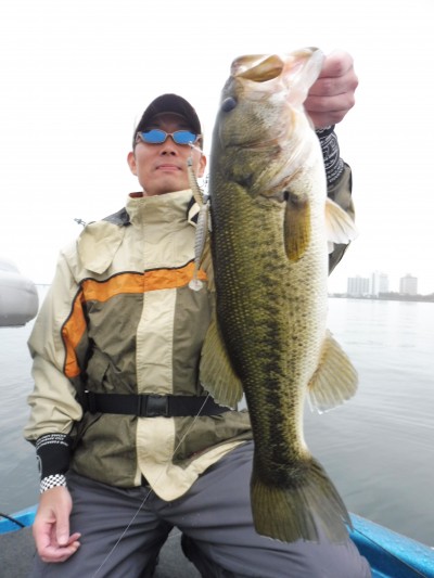 truth truth_news ブログ写真 2015/11/08