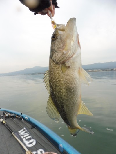 truth truth_news ブログ写真 2015/11/13