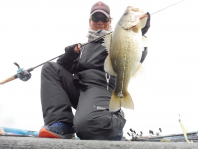 truth truth_news ブログ写真 2015/11/13