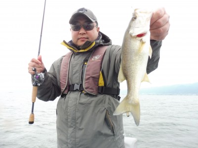 truth truth_news ブログ写真 2015/11/13