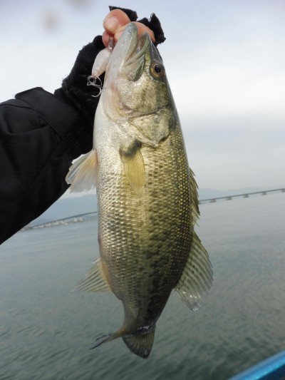 truth truth_news ブログ写真 2015/11/13