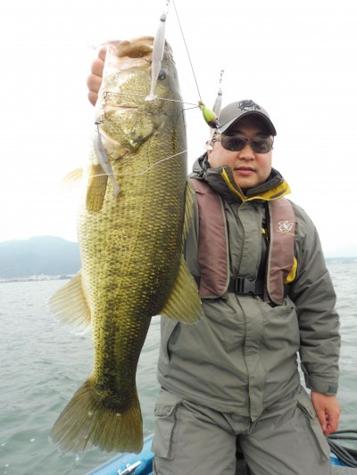 truth truth_news ブログ写真 2015/11/13