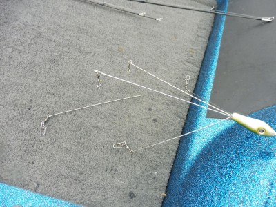 truth truth_news ブログ写真 2015/11/13