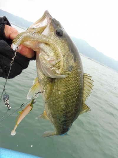 truth truth_news ブログ写真 2015/11/13