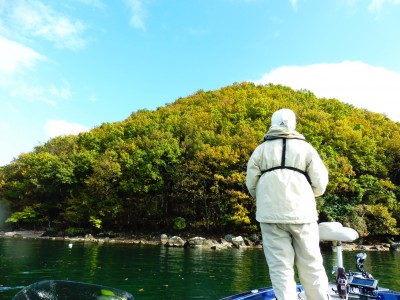 truth truth_news ブログ写真 2015/11/15