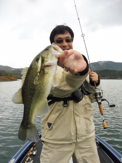 truth truth_news ブログ写真 2015/11/15