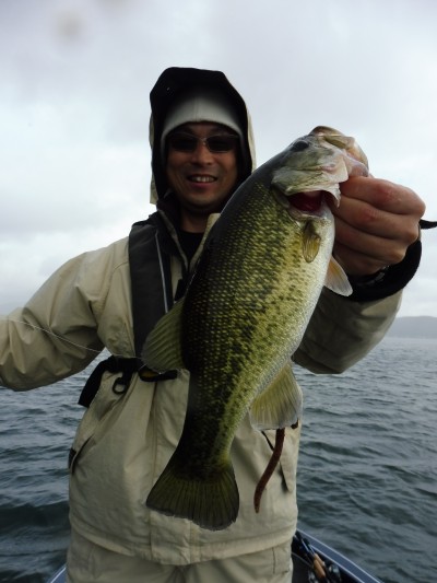 truth truth_news ブログ写真 2015/11/15