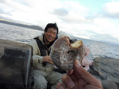 truth truth_news ブログ写真 2015/11/15