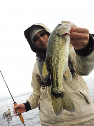 truth truth_news ブログ写真 2015/11/15