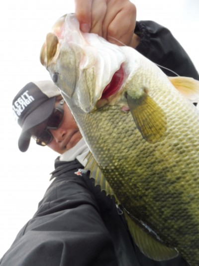 truth truth_news ブログ写真 2015/11/17