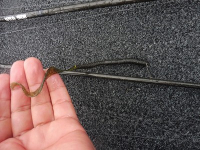 truth truth_news ブログ写真 2015/11/17