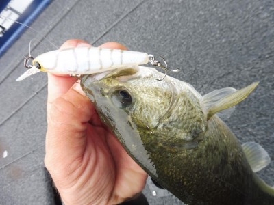 truth truth_news ブログ写真 2015/11/17