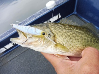 truth truth_news ブログ写真 2015/11/17