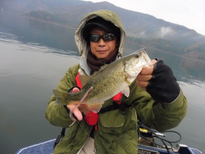 truth truth_news ブログ写真 2015/11/17