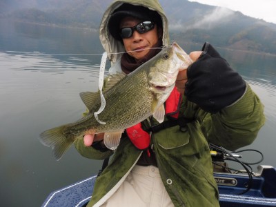 truth truth_news ブログ写真 2015/11/17