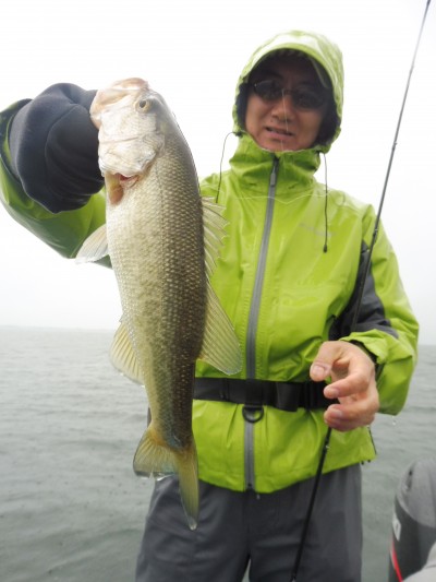 truth truth_news ブログ写真 2015/11/18