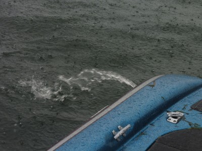 truth truth_news ブログ写真 2015/11/18