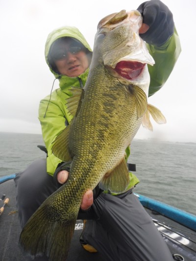 truth truth_news ブログ写真 2015/11/18